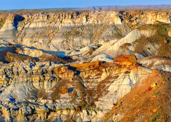 Golden hour at Petrified National Forest, Arizona